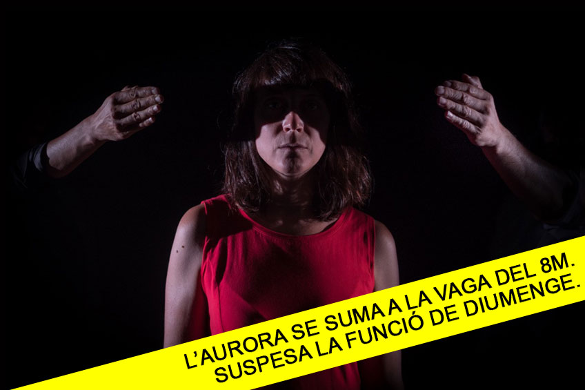 Assaig sobre la lucidesa