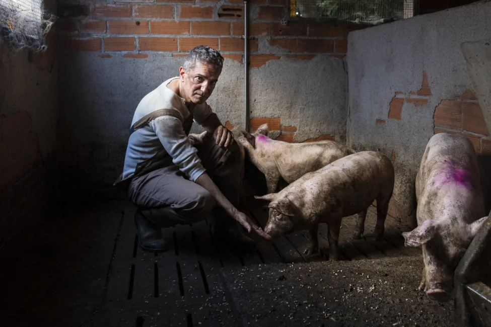 El lladre de llibretes | © Mireia Tor