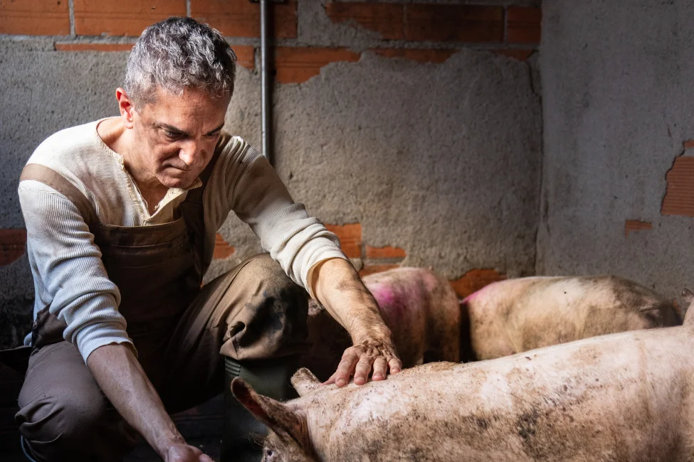 El lladre de llibretes | © Mireia Tor