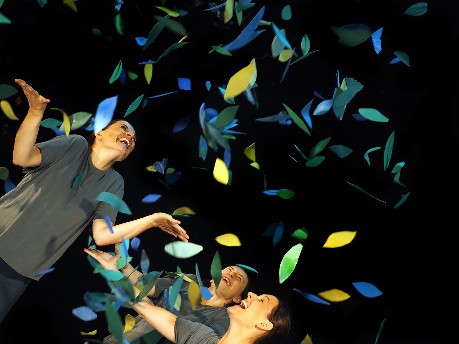 Sotabosc | © Eli Guasch