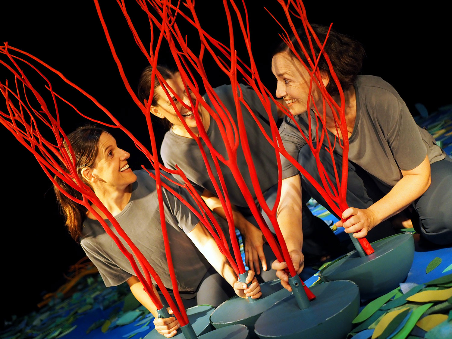 Sotabosc | © Eli Guasch