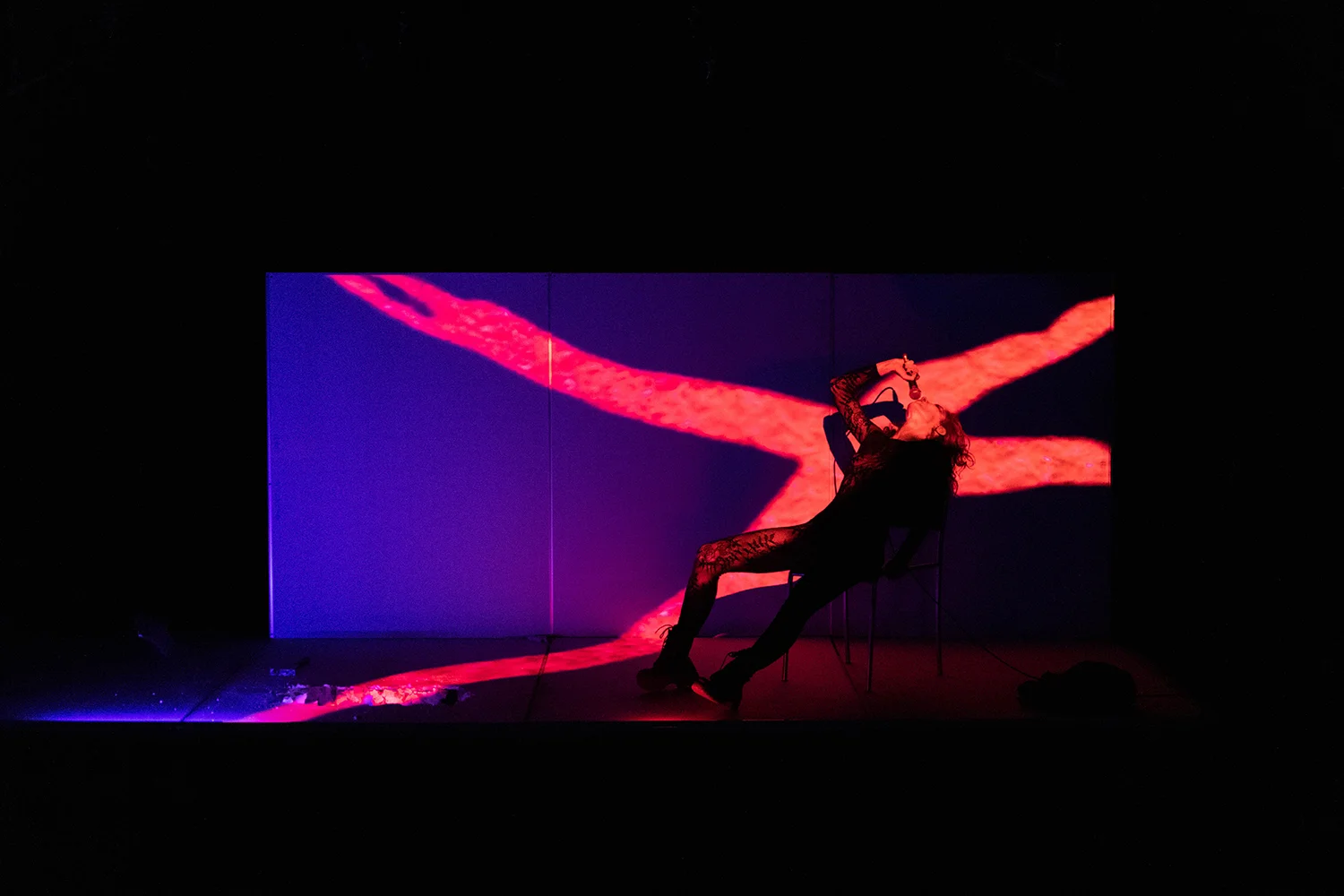 Teoria King Kong | © Gusto Audiovisual