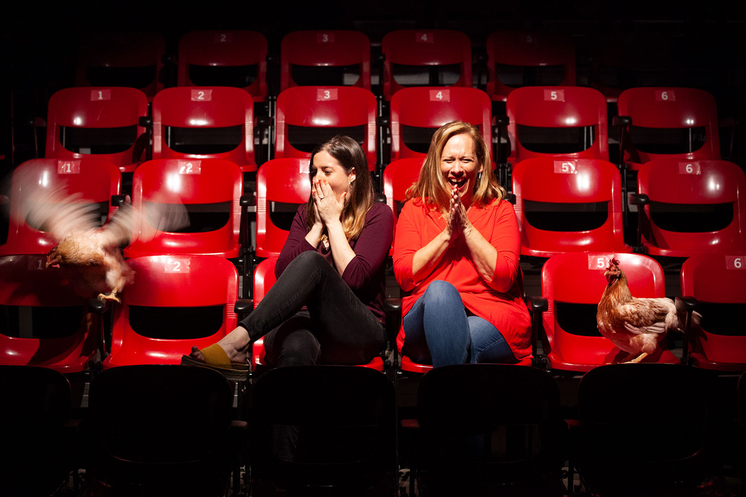 Quan pensaves que no mirava