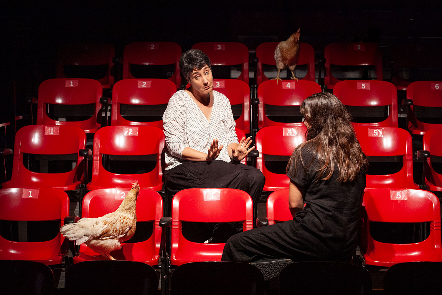 Un cuento xino | © Aureli Sendra